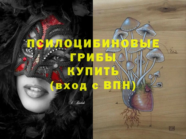 ГАЛЛЮЦИНОГЕННЫЕ ГРИБЫ Балабаново
