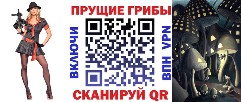 купить наркотик  Кушва  Галлюциногенные грибы Magic Shrooms 